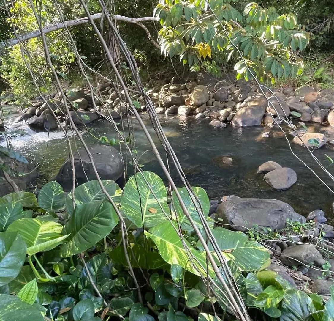 Secret River - Spacieuse Villa De 4 Chambres, 3 Salle De Bain, Piscine, Spa Avec Plus De 400 Ml De Riviere Privee Sainte-Rose Guadeloupe